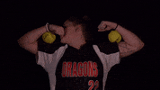 Softball GIF by MSUM Dragons