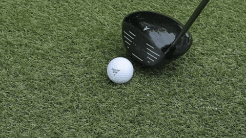 majorworld giphygifmaker GIF