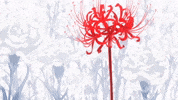 Tokyo Ghoul GIF