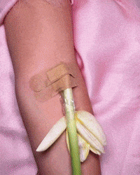Girl Flowers GIF