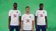 chelsea fc football GIF by Carabao UK