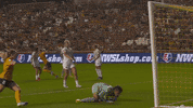 rslmarketing nwsl national womens soccer league goal celebration becky sauerbrunn GIF