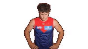 Melbourne Demons Laugh Sticker by Melbournefc