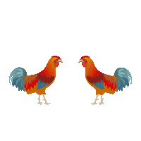 Don Ramon Tequila Sticker by Casa Don Ramón