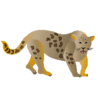 Cat Meow Sticker by Casa Don Ramón