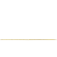 CasaDonRamon gold surreal tequila diamante Sticker