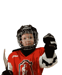 Happy Hockey Sticker by Ľubovnianski Rytieri