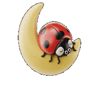 Good Night Love Sticker by Seorang Zaki