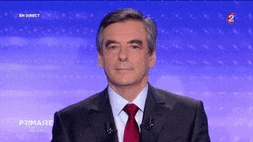 mimique GIF by franceinfo