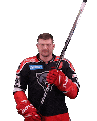 tiposshl sport hockey panthers hokej Sticker