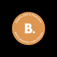 MuyBonito bonito sello muy bonito diseno mexicano GIF
