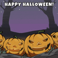 Happy Good Morning GIF by Wise Monkey Meme