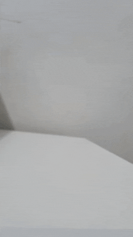Stop Motion Monster GIF by dan.bahia.dan