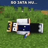 Sorlec sorlec sorlecog sorlec og sorlec minecraft GIF
