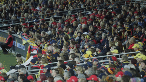 adelaidecrows giphyupload reactions fans celebrations GIF