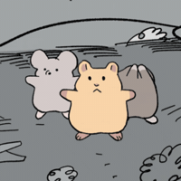 Dance Cat GIF