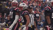 Football Celebration GIF by New England Patriots