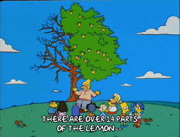 season 6 episode 25 GIF