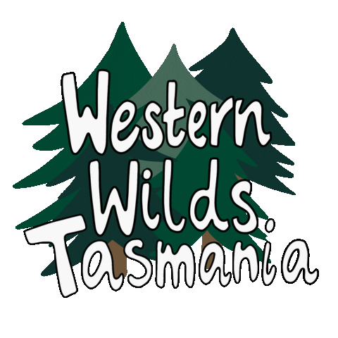 Roadtrip Camper Sticker by Tasmania