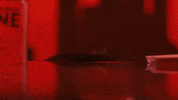 Netflix Is A Joke Everythings Fine GIF by NETFLIX