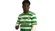 Celtic Fc Dance Sticker by Celtic Football Club