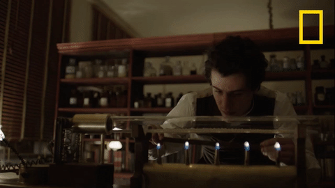 genius natgeo GIF by National Geographic Channel