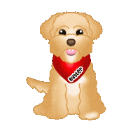 Happy Dog Sticker by zoopeez