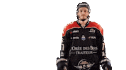 Celebration Goal Sticker by Les Ducs d'Angers