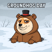 Tired Shiba Inu GIF by Doge Pound