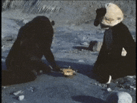 it looks bad the right way GIF by MANGOTEETH