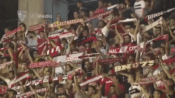 sevilla fc aficiÃ³n GIF by Sevilla Fútbol Club