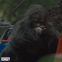 Jesse Eisenberg Bigfoot GIF by Bleecker Street