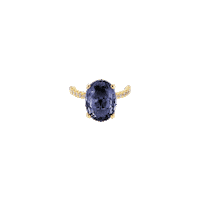 Gold Ring Sticker by The SISS BLISS