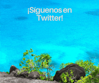 twitter cancun GIF by Dolphin Discovery