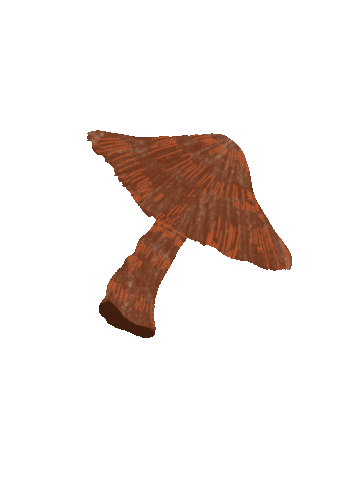 Mushroom Fall Vibes Sticker