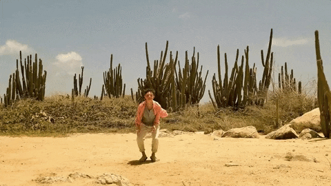 qsnewz giphyupload GIF