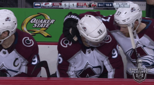 2019 stanley cup playoffs sport GIF by NHL