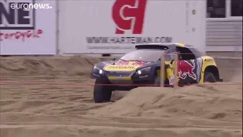 Buggy Loeb GIF by euronews
