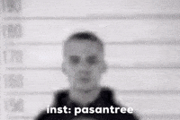 Pasantree GIF
