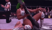 Wwe GIF