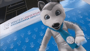 Winter Russia GIF by FISU Media