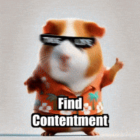 Wisdom Contentment GIF by Guinea Gambino