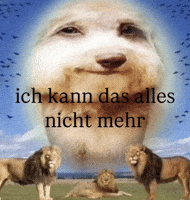 Hund Deutsch GIF