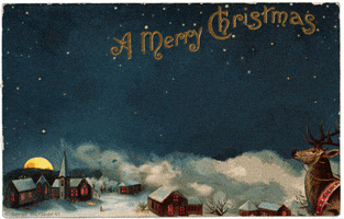 Merry Christmas GIF by Hallmark Gold Crown