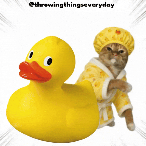 Cat Throwing GIF