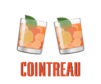 Happy Hour Cheers Sticker by cointreau_us