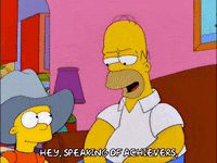homer simpson GIF