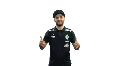 Fifa Playstation Sticker by SV Werder Bremen