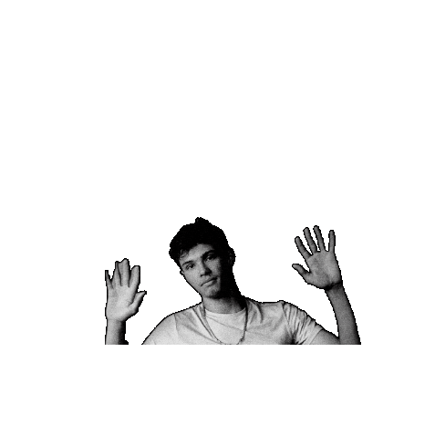 mamelcanard giphygifmaker meme giphycreatortest no problem Sticker