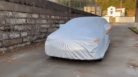 giphyupload GIF